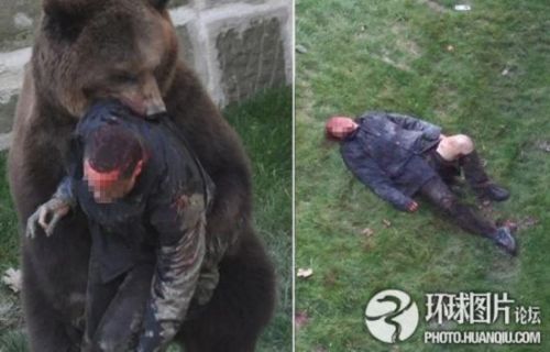 爱游戏官网姑苏暴熊队对阵三湘雪豹队，冰球季后赛惊险晋级，内线统治篮板——传控打穿防线的简单介绍